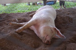 20151025 (24)_800x531