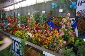 20151025 (3)_800x531