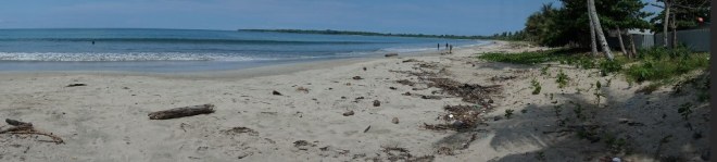 DSC01305_1680x381_1024x232